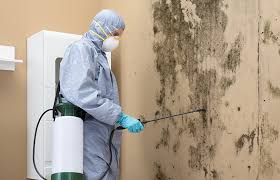 Best Air Quality Testing for Mold Spores  in Hampton, IL